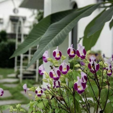 Hasayaki Homestay Sanxing Eksteriør bilde